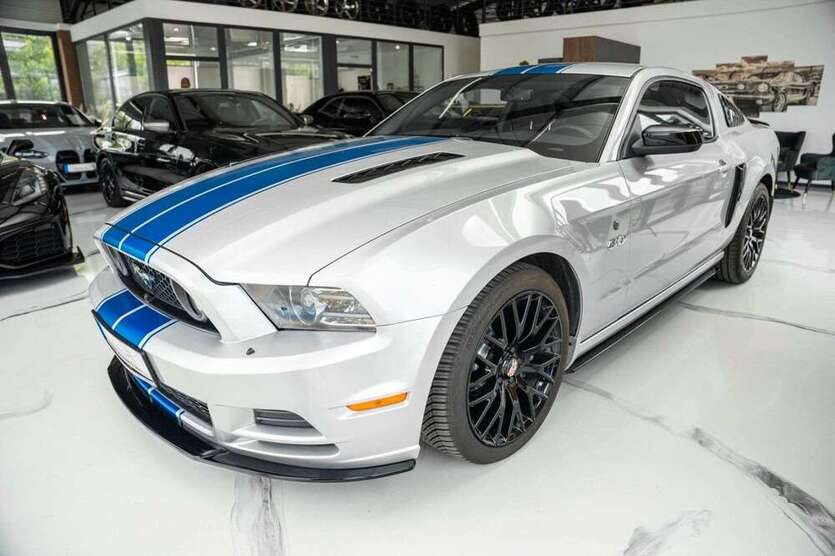 Mustang