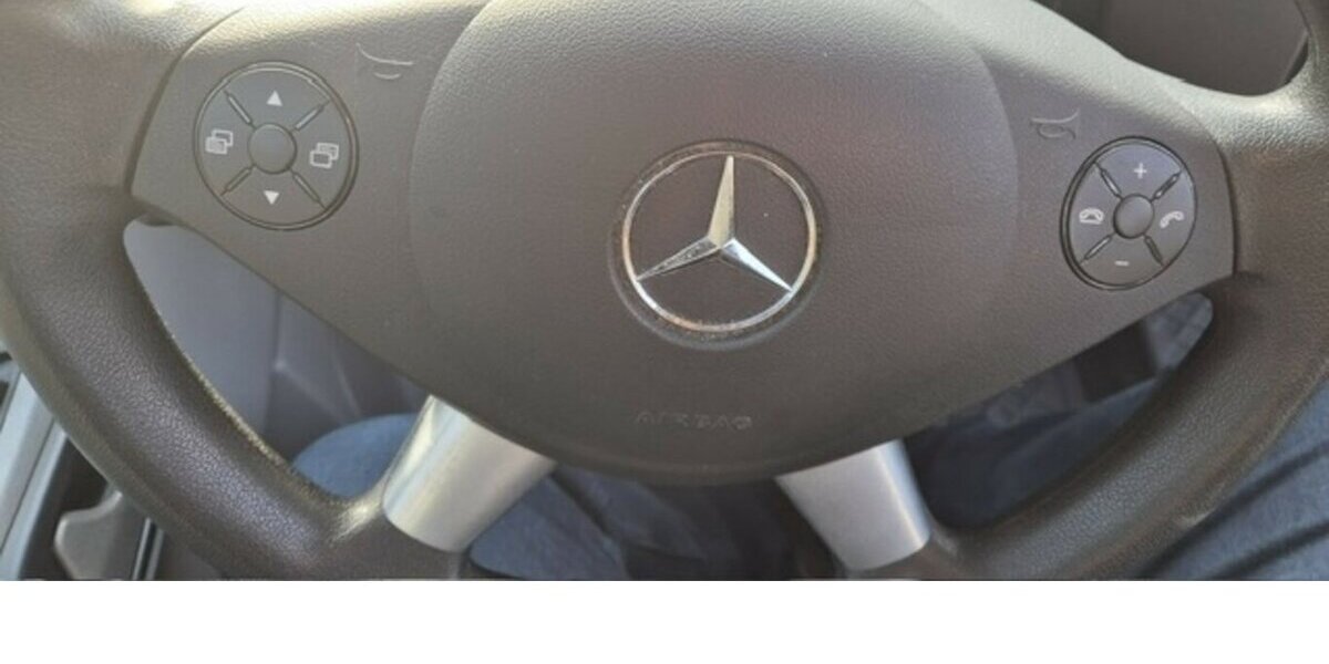 Mercedes-Benz Sprinter 319 CDI V6 9 Sitzer mit Dachklima 293.500 km 22.015 &euro; Muldestausee 06774