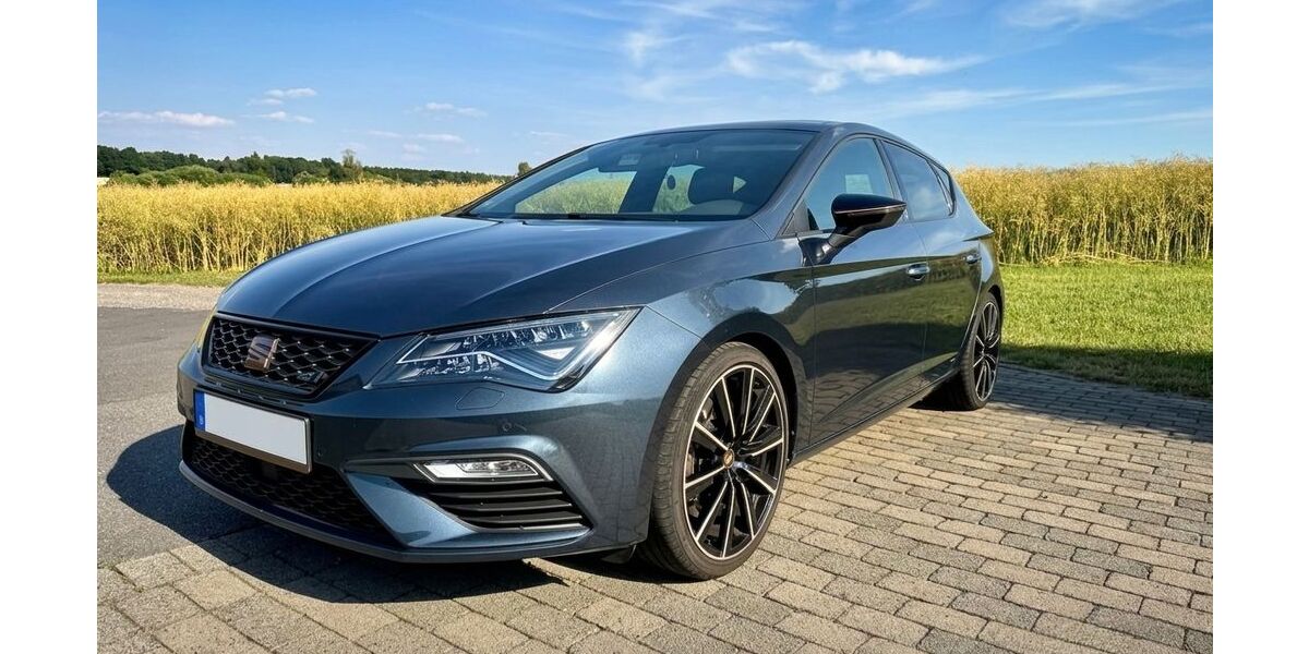 Seat Leon 142.500 km 17.599 &euro; Walldürn 74731