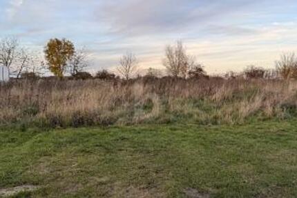 BAUEN MIT WEITBLICK  SELTENE TOP-HANGLAGE - Grundstück Langenberg | Angebot:26161259