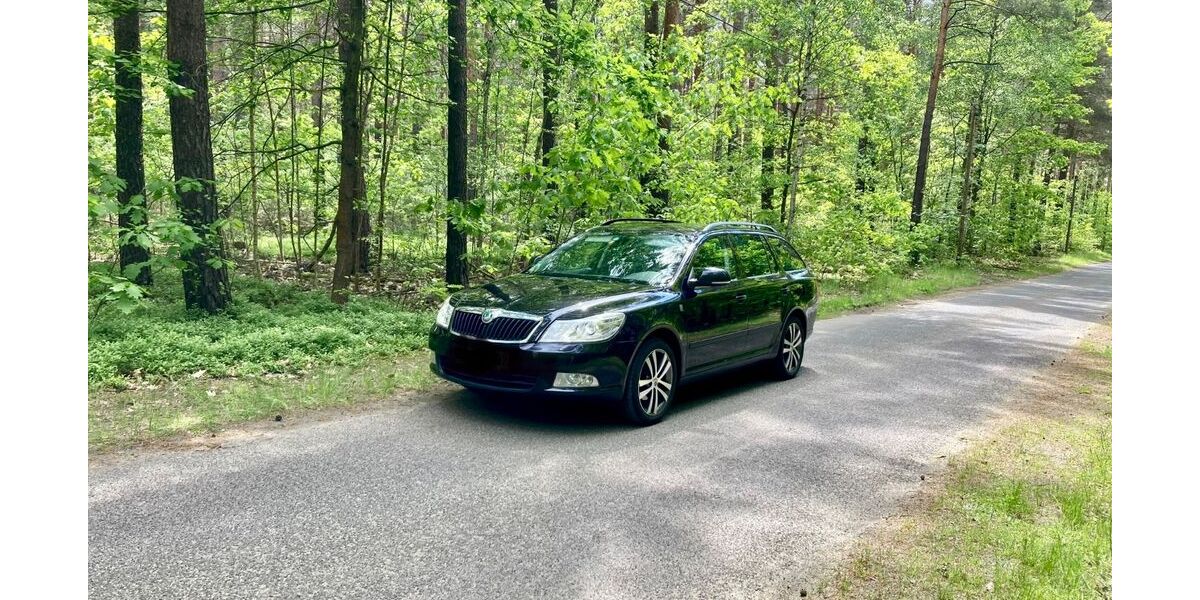Skoda Octavia 256.852 km 4.000 &euro; Großräschen 01983