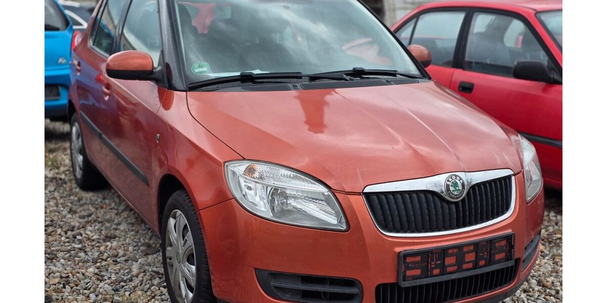 Skoda Fabia 115.900 km 3.990 € Leipzig 04319