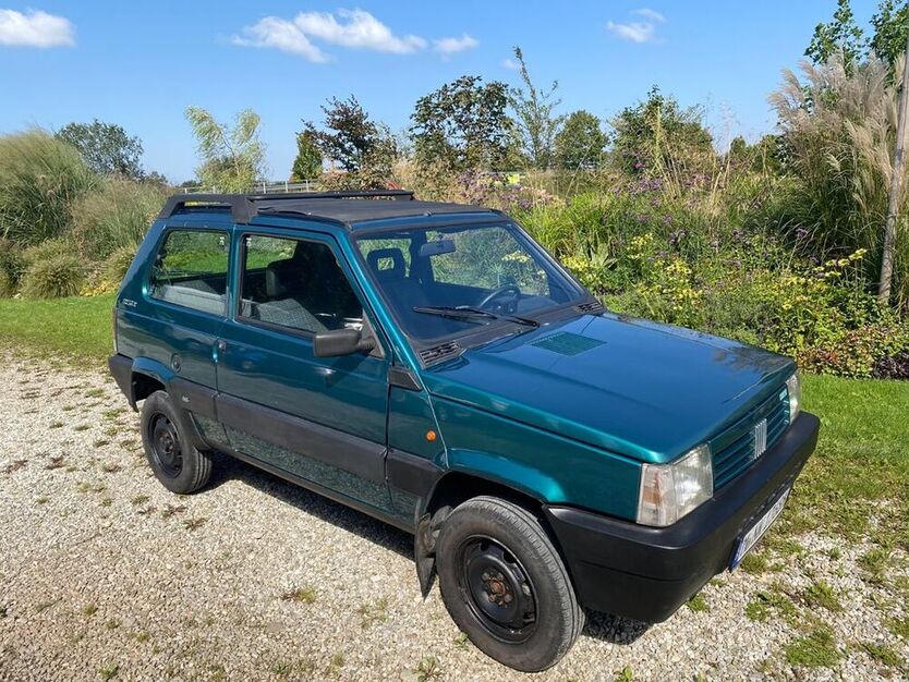 Panda