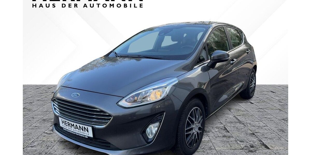 Ford Fiesta 123.639 km 7.986 &euro; Höxter 37671