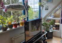 Charmante möblierte 2-Zimmer-Maisonette-Wohnung in Norderstedt