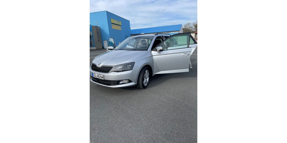 Skoda Fabia 100.800 km 9.690 &euro; Ebersdorf bei Coburg 96237