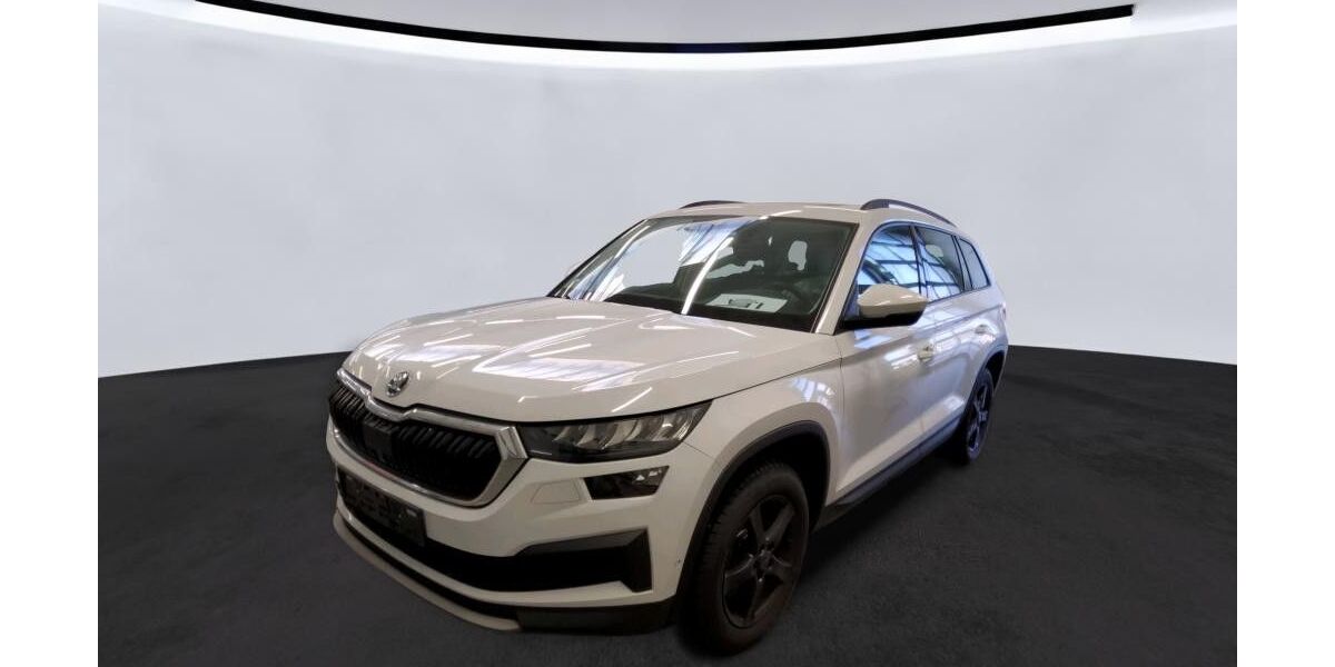 Skoda Kodiaq 190.774 km 20.990 &euro; Cloppenburg 49661