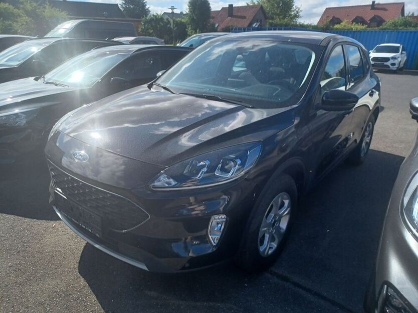 Kuga