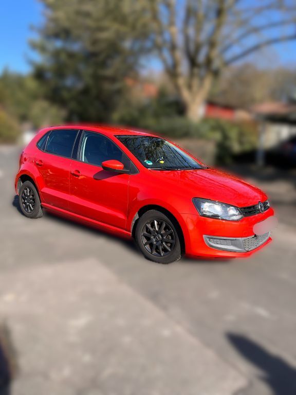 Polo