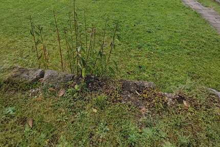 Grundstück Grenzach-Wyhlen Wyhlen - 389.000&euro; | Angebot:23366428