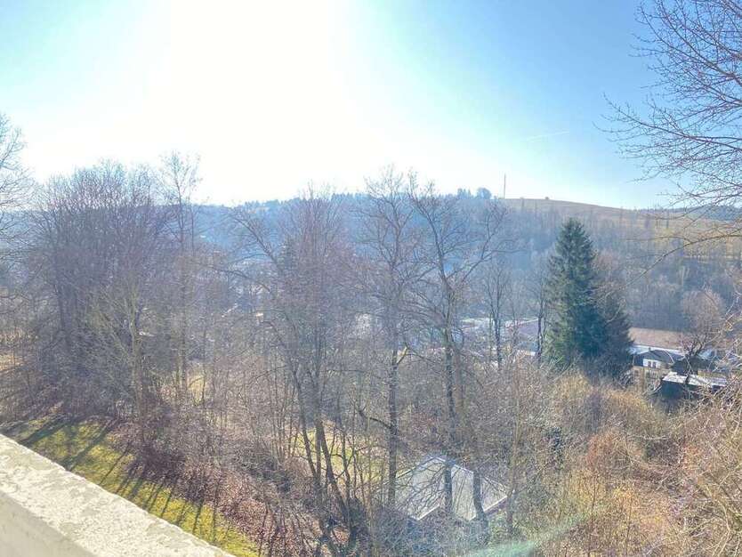 Wohnung zum Mieten in Markneukirchen 150 € 29.6 m²