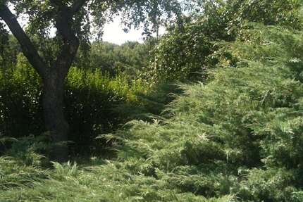 Haus Hönow Hönow Nord - 5 Zimmer, 126 m&sup2;, 521.200&euro; | Angebot:25375675