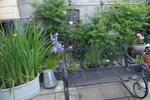 Ferienimmobilie Menteroda - 45&euro; | Angebot:20794453