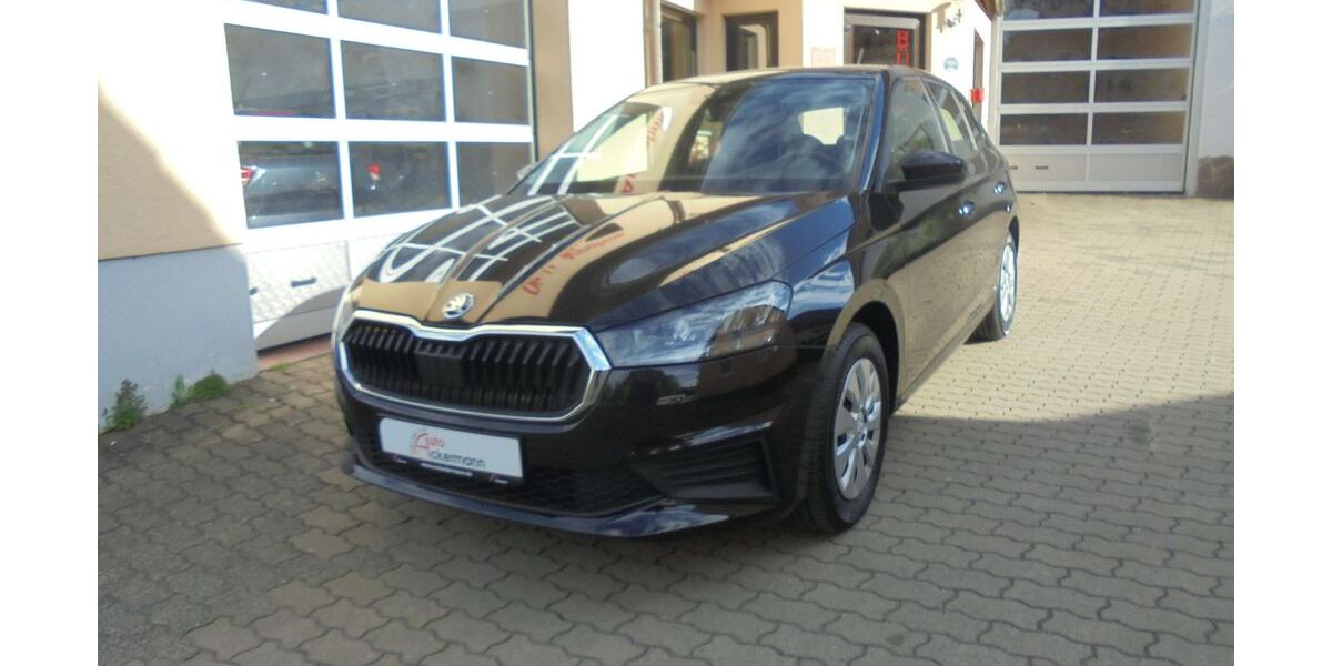 Skoda Fabia 29.900 km 14.750 &euro; Hausen 97262