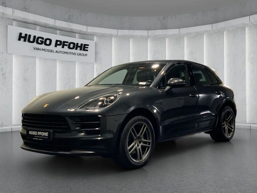 Macan
