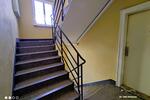 Erdgeschoßwohnung Bitterfeld-Wolfen Bitterfeld - 2 Zimmer, 45 m&sup2;, 320&euro; | Angebot:26663795
