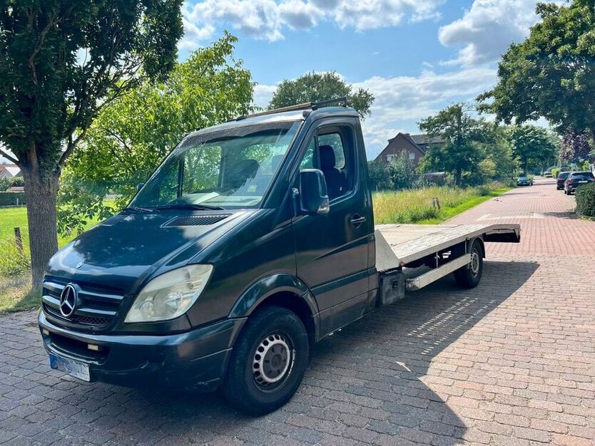 Sprinter
