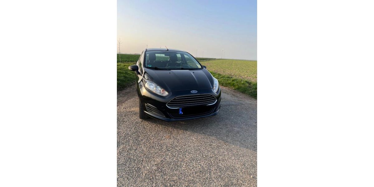 Ford Fiesta 103.000 km 5.199 &euro; Erftstadt 50374