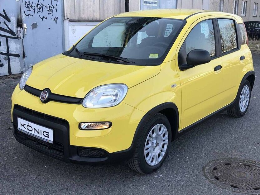Panda