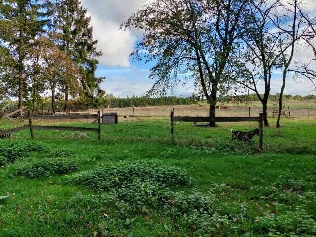 Mehrfamilienhaus, Wohnhaus Gnarrenburg Glinstedt - 4 Zimmer, 130 m&sup2;, 295.000&euro; | Angebot:25798231
