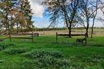 Mehrfamilienhaus, Wohnhaus Gnarrenburg Glinstedt - 4 Zimmer, 130 m&sup2;, 295.000&euro; | Angebot:25798231
