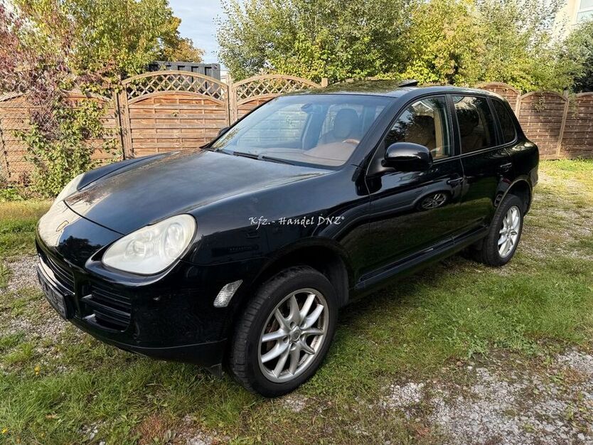 Cayenne