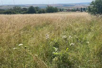 Grundstück Kirchheimbolanden - 279.000&euro; | Angebot:22972518