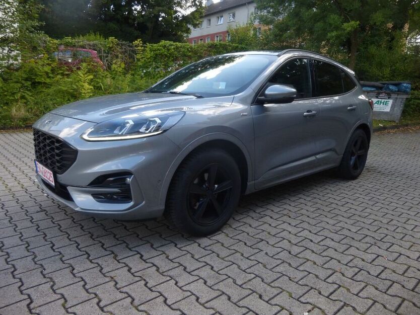 Kuga
