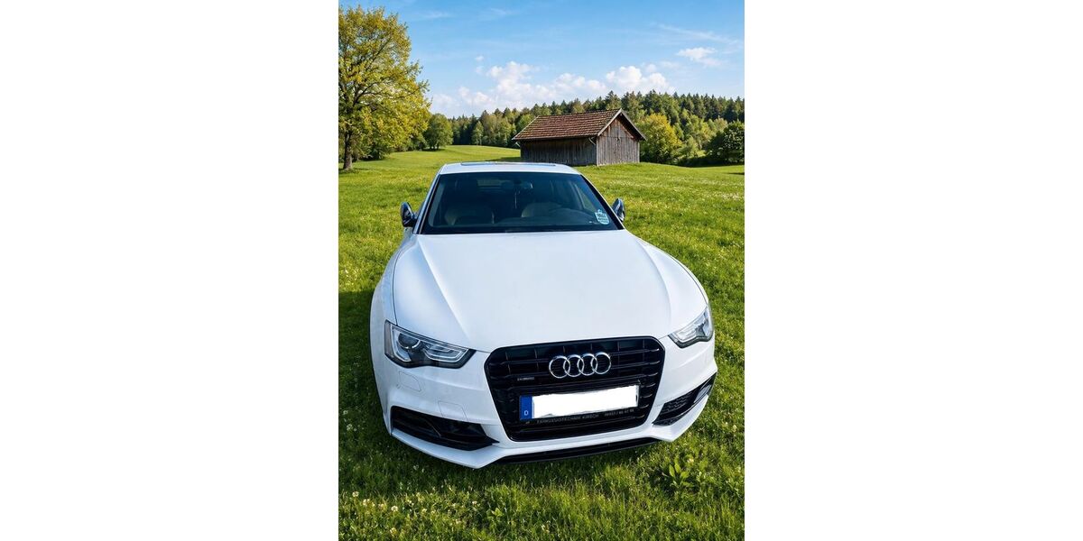 Audi A5 159.300 km 16.400 &euro; Siegenburg 93354