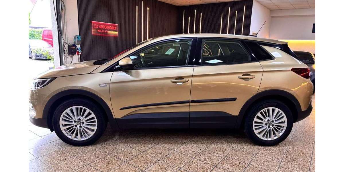 Opel Grandland X 113.882 km 11.950 &euro; Dortmund 44388