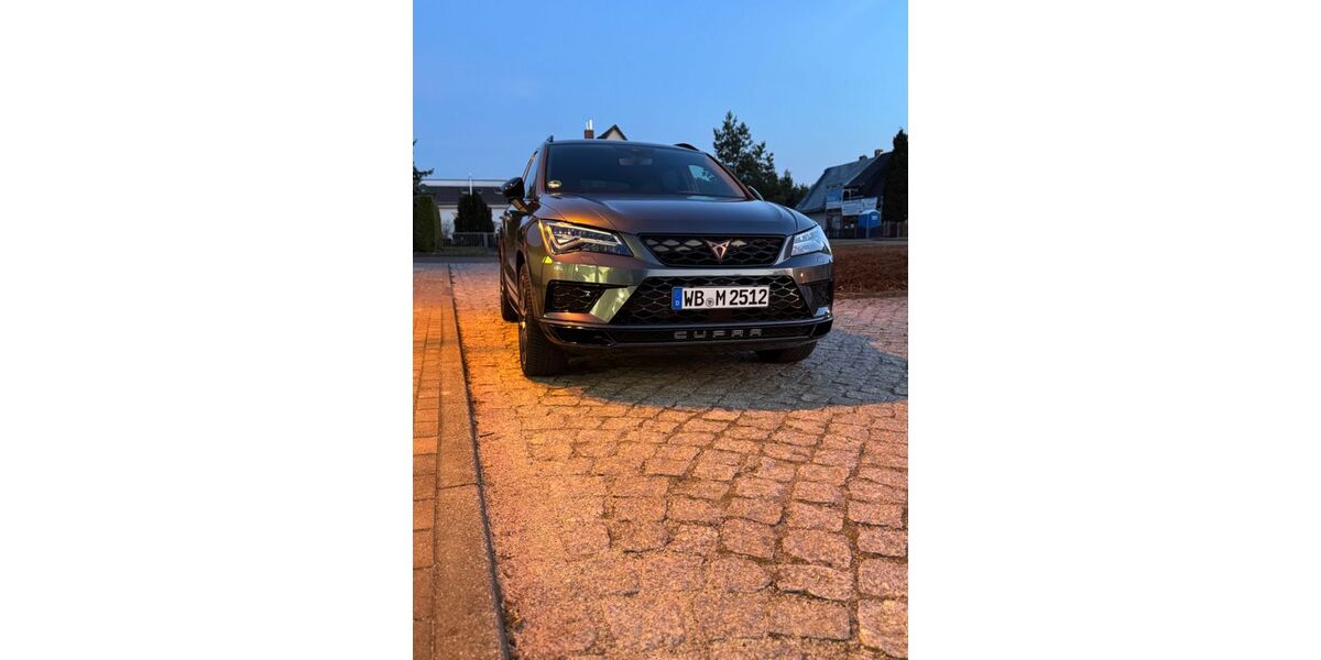 Cupra Ateca 65.000 km 26.500 &euro; Zahna-Elster 06895