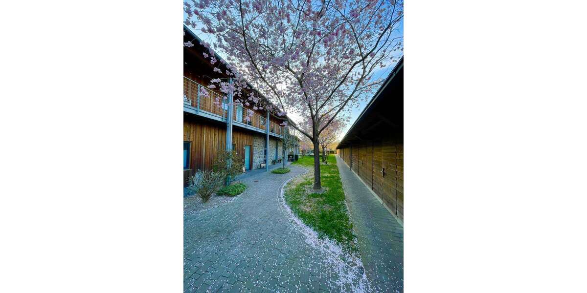 Wohnung zum Kaufen in Lich 390.000 € 96 m² 4 zimmer