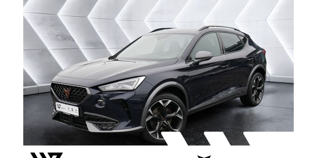 Cupra Formentor 132.004 km 19.887 &euro; Büdingen-Düdelsheim 63654