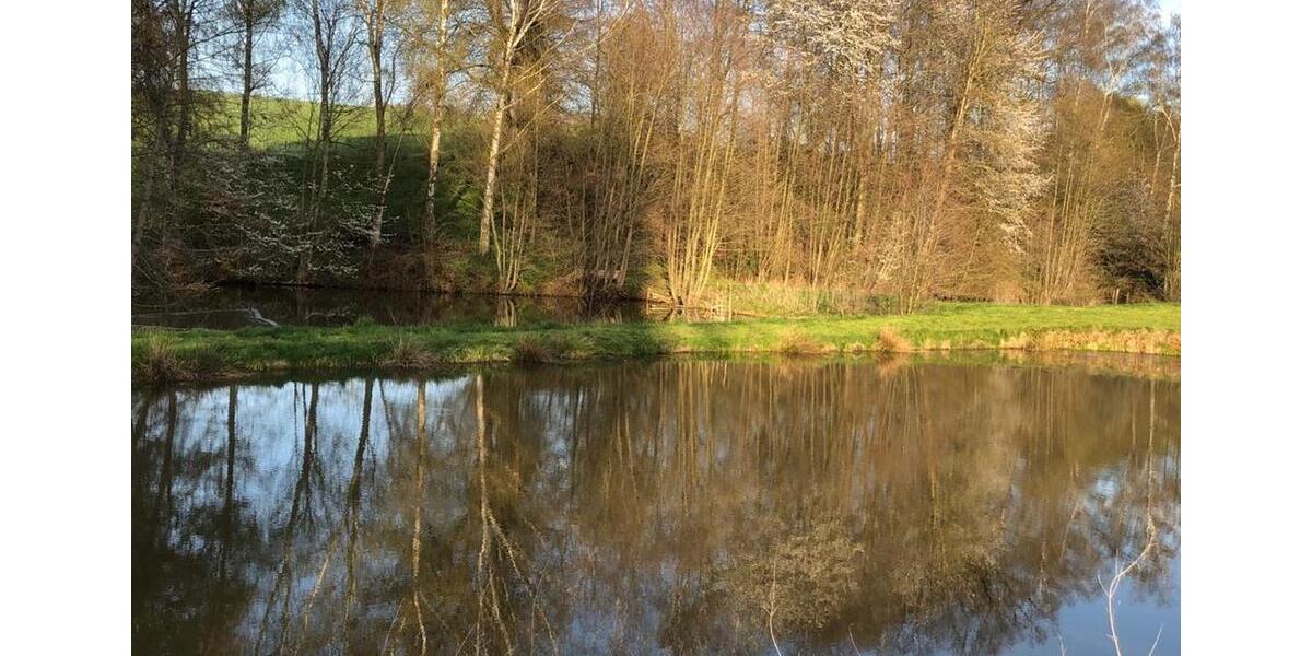 Gewerbeobjekt Seesen - 450&euro; | Angebot:25879767