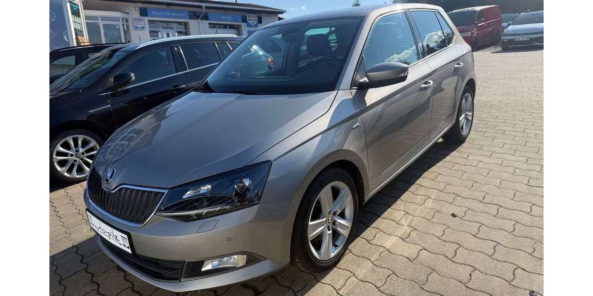 Skoda Fabia 115.812 km 11.890 &euro; Thermalbad Wiesenbad 09488