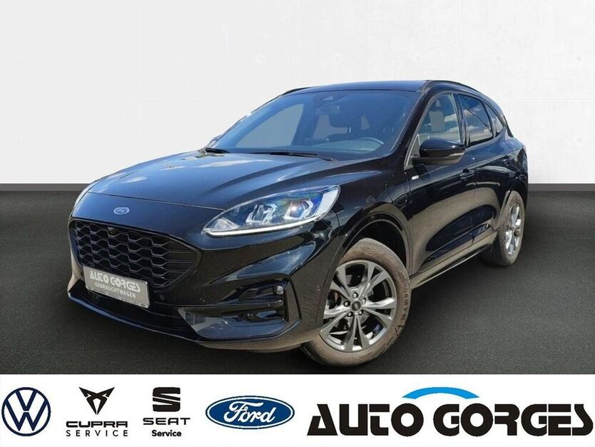 Kuga