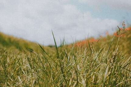 Grundstück Koblenz Karthause - 610.000&euro; | Angebot:25064577