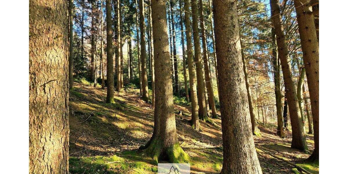 Grundstück Eggenthal Völken - 84.900&euro; | Angebot:25689866