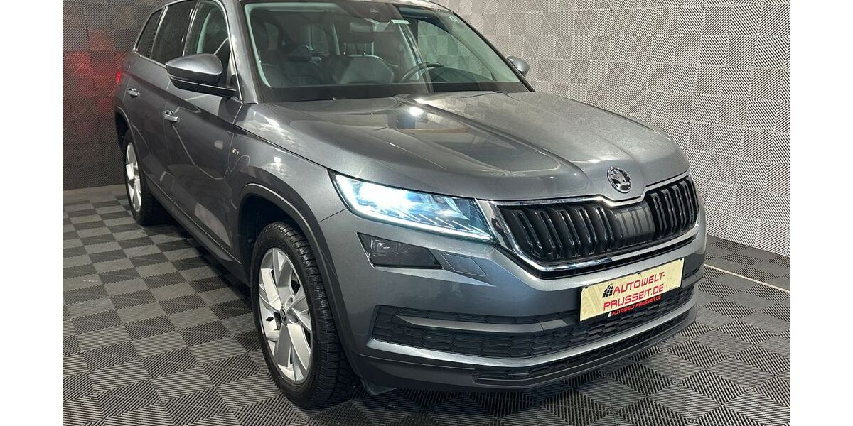 Skoda Kodiaq 54.800 km 28.470 &euro; Horb am Neckar 72160
