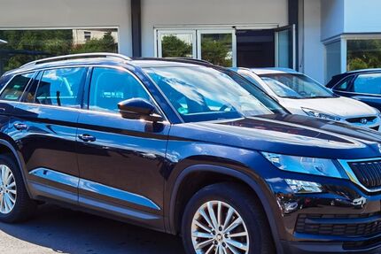 Skoda Kodiaq 154.800 km 17.690 &euro; Steinau an der Straße 36396