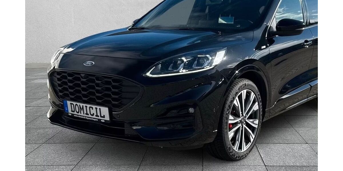 Ford Kuga 86.000 km 30.000 € Schnakenbek 21481