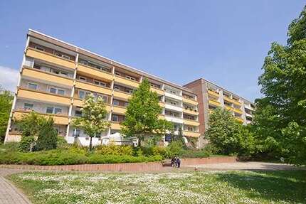 Wohnung zum Mieten in Halle (Saale) 172 € 34.35 m² 1 zimmer