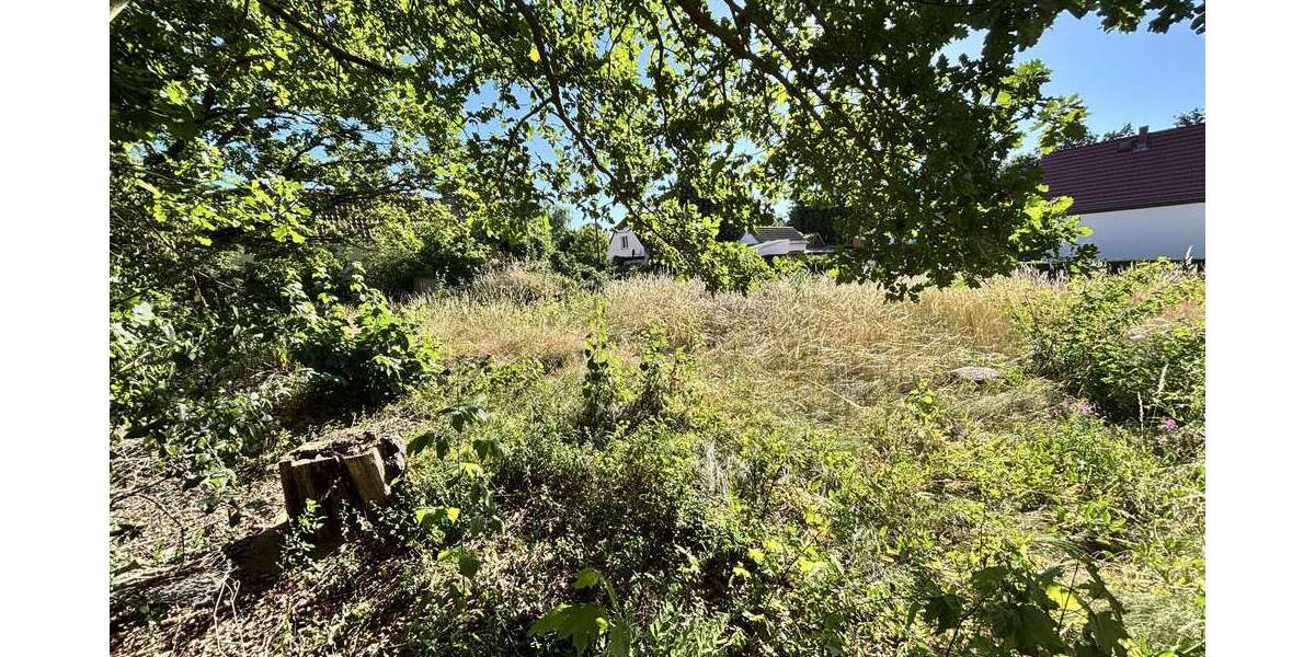 Grundstück Radis Radis - 32.000&euro; | Angebot:21386295