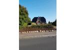 Einfamilienhaus Stapel - 5 Zimmer, 165 m&sup2;, 1.400&euro; | Angebot:26050249