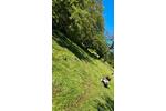 Grundstück Esslingen am Neckar Oberesslingen - 200&euro; | Angebot:23685293