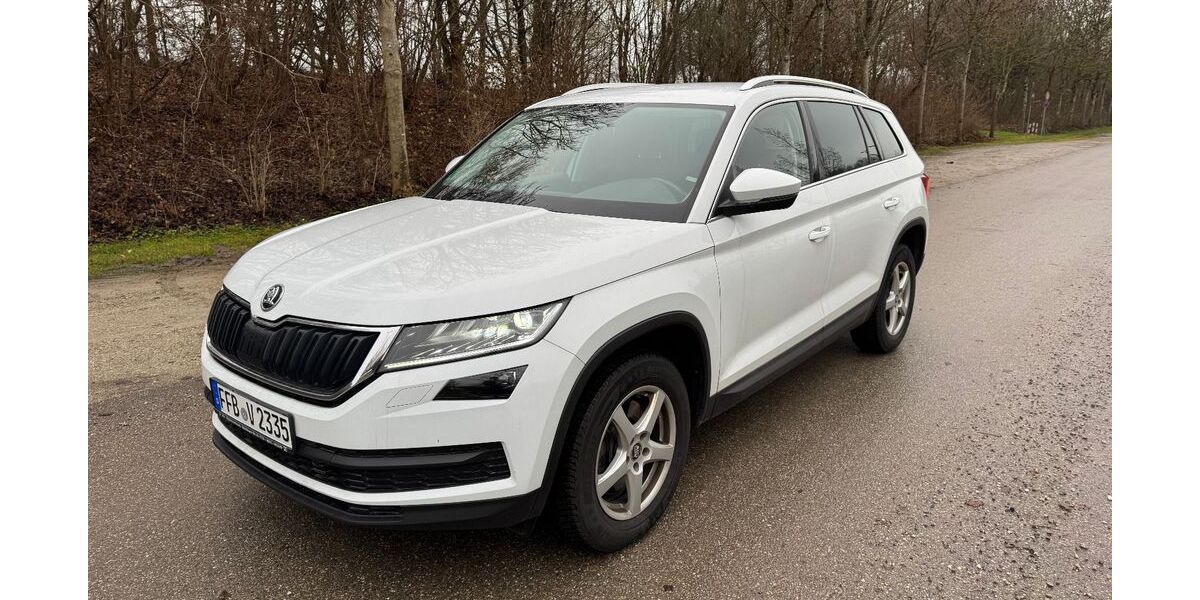 Skoda Kodiaq 200.000 km 20.900 &euro; Fürstenfeldbruck 82256
