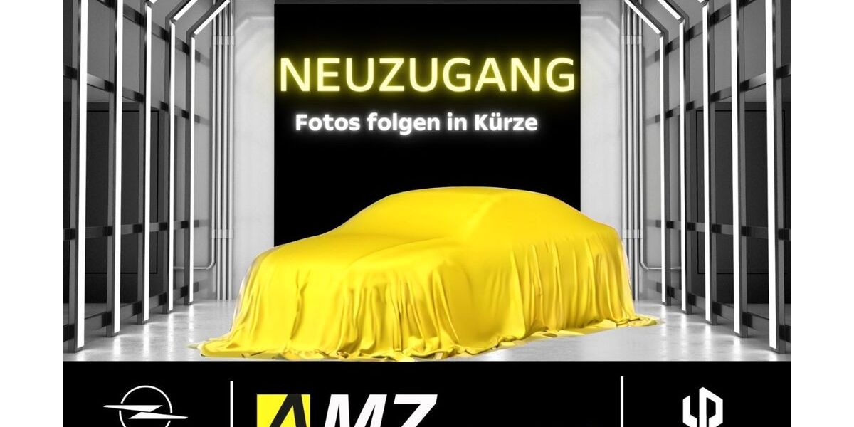 Opel Grandland (X) 40.390 km 20.990 &euro; Leipzig 04179