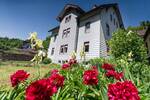 Mehrfamilienhaus, Wohnhaus Oberndorf am Neckar Oberndorf - 1 Zimmer, 390 m&sup2;, 368.500&euro; | Angebot:26816569