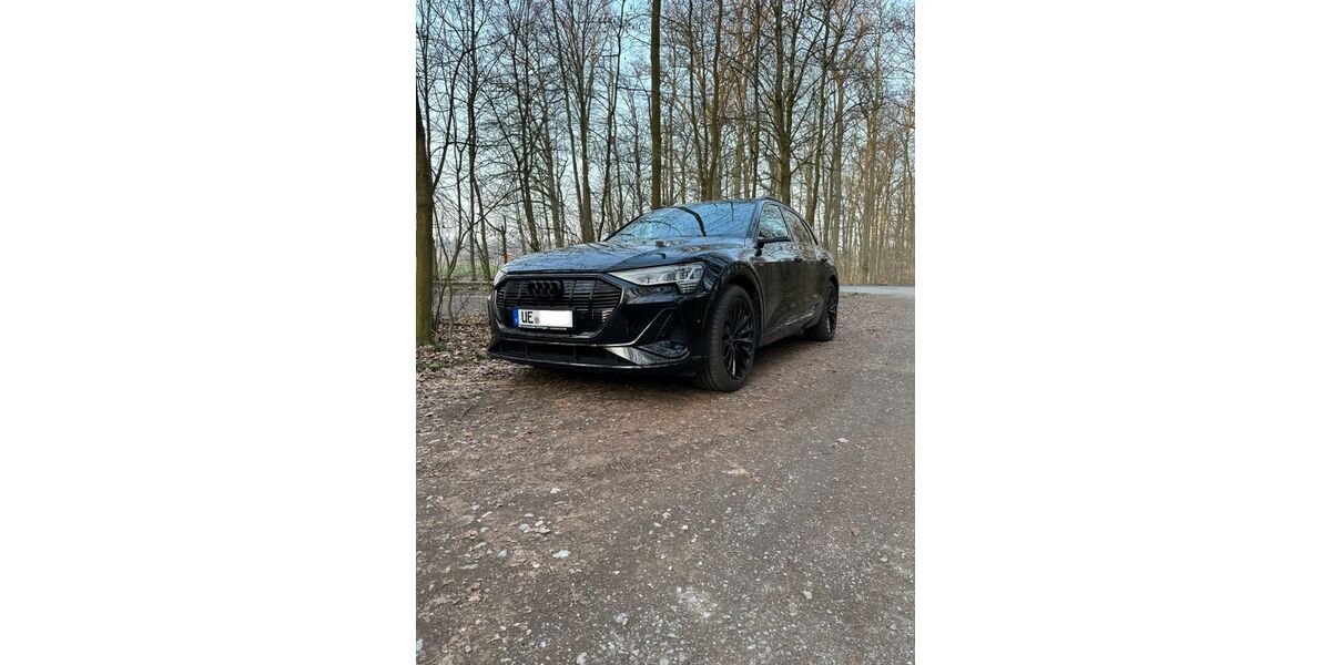 Audi e-tron 45.500 km 30.900 &euro; Uelzen 29525