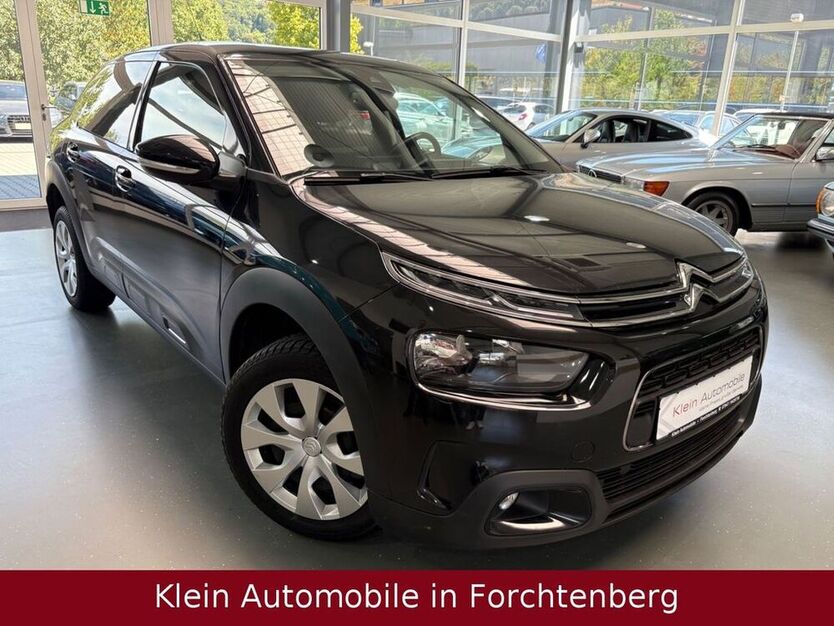 C4 Cactus